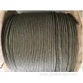 Ungalvanized Rope Strand 1X37 with Good Quality